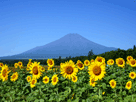富士山夏０７