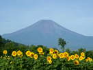 富士山夏１７