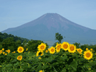 富士山夏１８