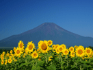 富士山夏２１