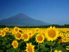 富士山夏２７