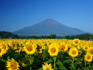 富士山夏２９