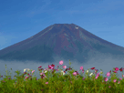 富士山秋５１