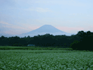 富士山秋５２
