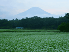 富士山秋５３