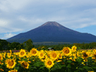 富士山夏４２