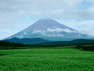 富士山秋８２