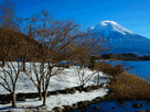 富士山冬１６５