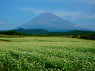 富士山秋１０６