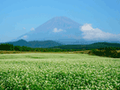 富士山秋１０８