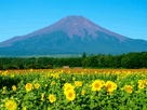 富士山夏５９