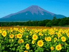 富士山夏６０