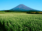富士山秋１１１