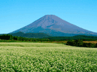 富士山秋１１２
