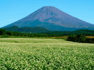 富士山秋１１３
