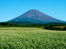 富士山秋１１４