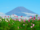 富士山秋１１５