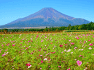 富士山秋１１９