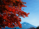富士山秋１２７