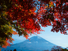 富士山秋１２８