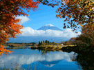 富士山秋１２９