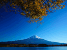 富士山秋１３２