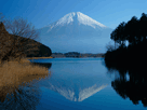 富士山冬２１９