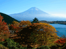富士山秋１４１