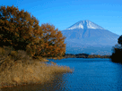 富士山秋１４２