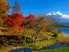 富士山秋１４４