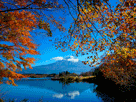 富士山秋１４８