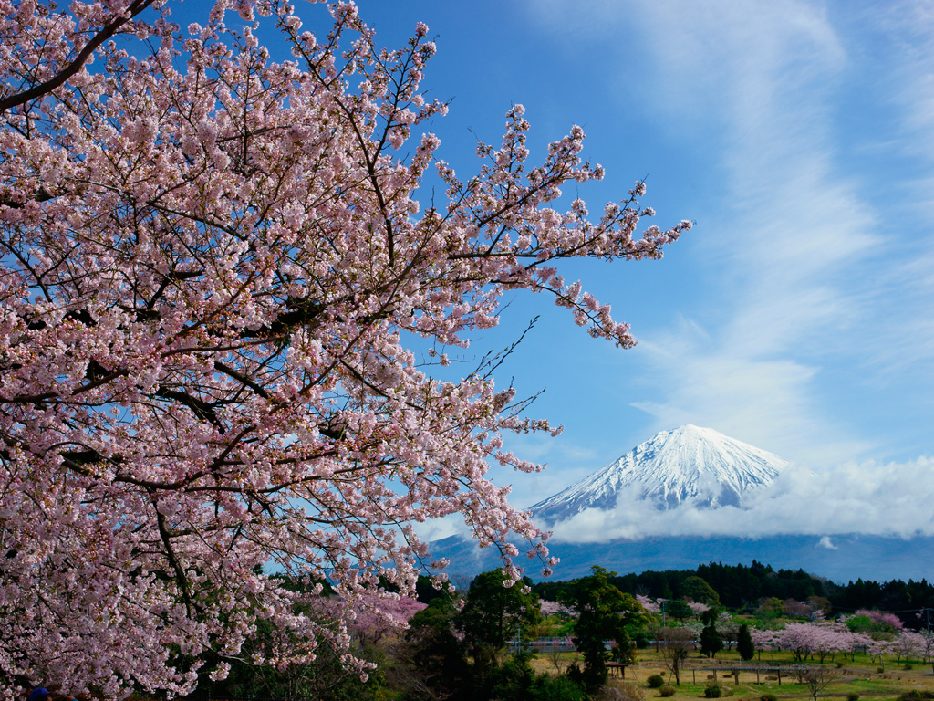 富士山春２ 無料写真素材ならフリー素材タウン